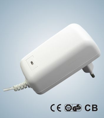 20W KSAP020xxxyyyHZ 12 वी-24VDC 0.01-1.6A सीबी, CE, जी एस सुरक्षा अनुमोदन के साथ सत्ता एडेप्टर स्विचिंग